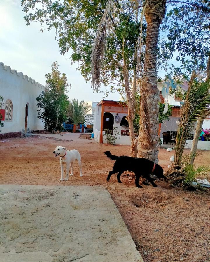 Nook Hostel Dahab Exterior photo