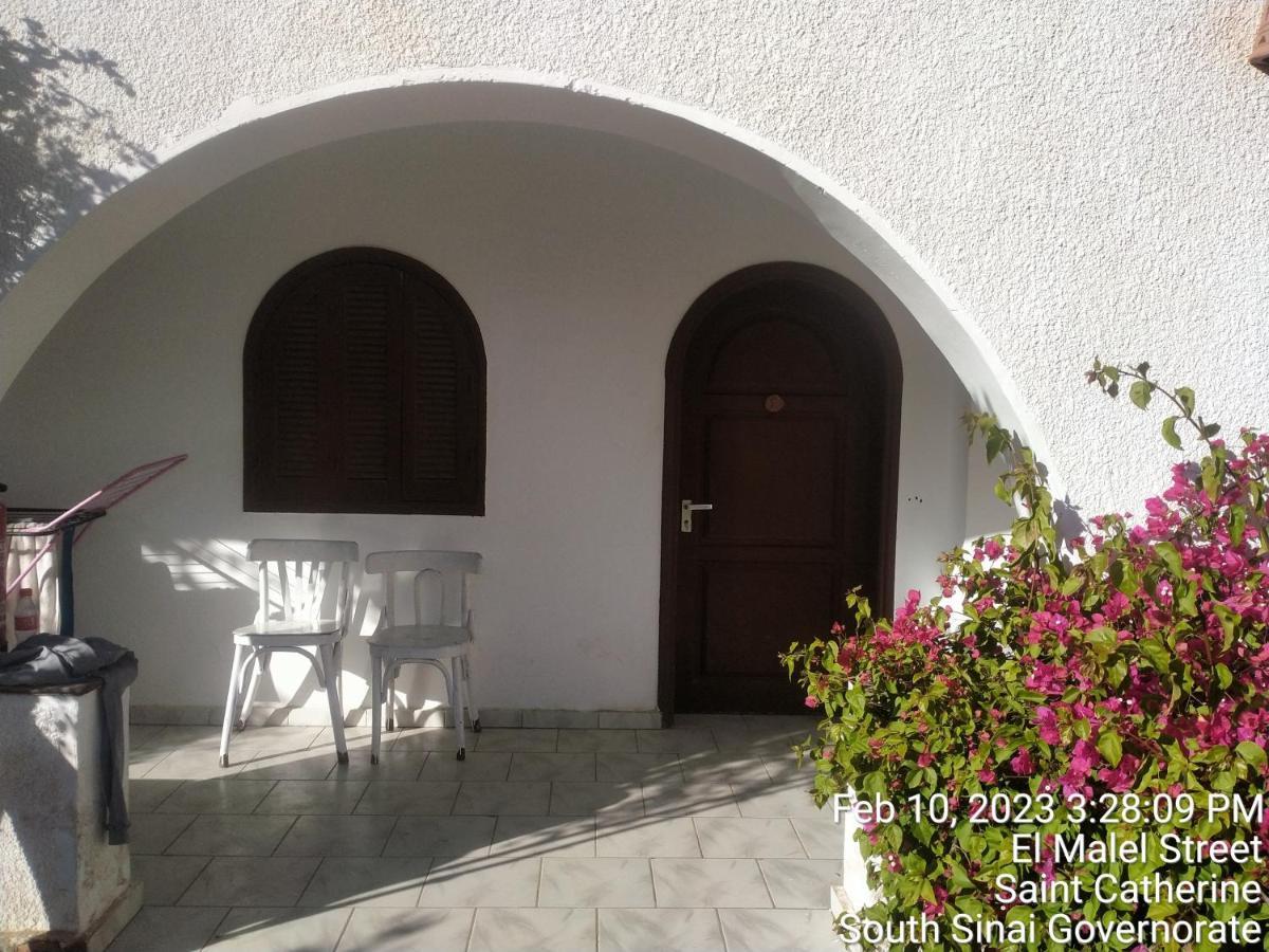 Nook Hostel Dahab Exterior photo