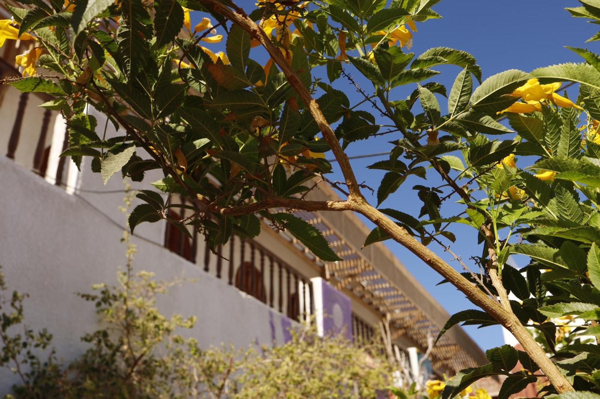 Nook Hostel Dahab Exterior photo
