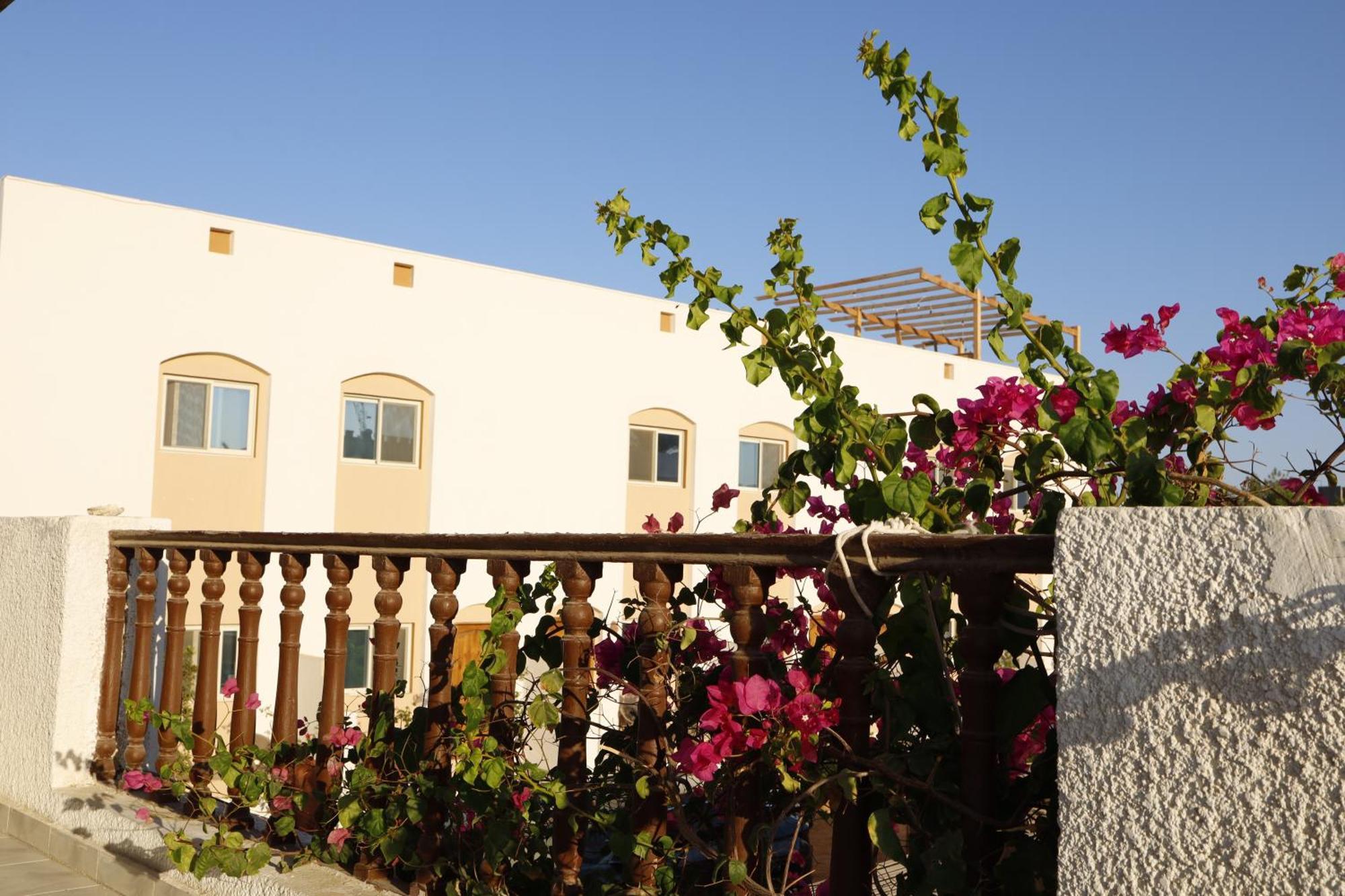 Nook Hostel Dahab Exterior photo