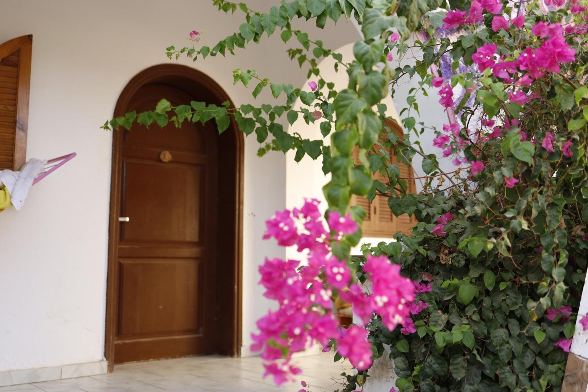 Nook Hostel Dahab Exterior photo