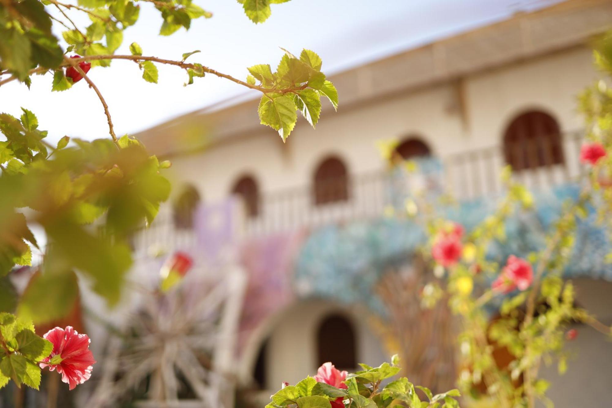 Nook Hostel Dahab Exterior photo