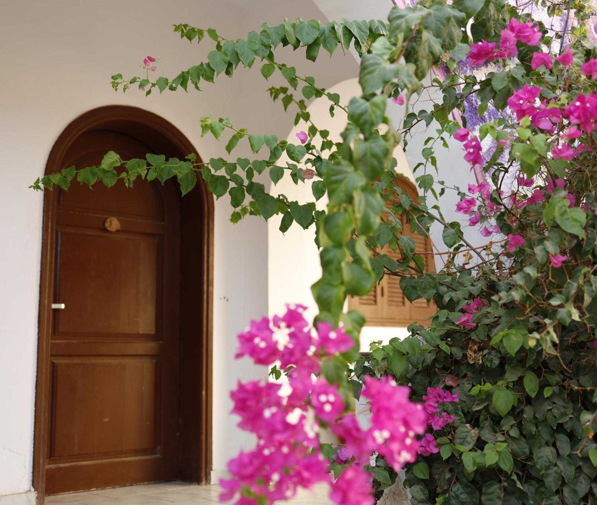 Nook Hostel Dahab Exterior photo